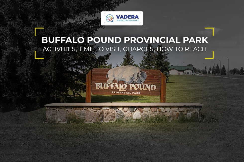 Buffalo Pound Provincial Park: Activities, Time to Visit, Charges, How to Reach