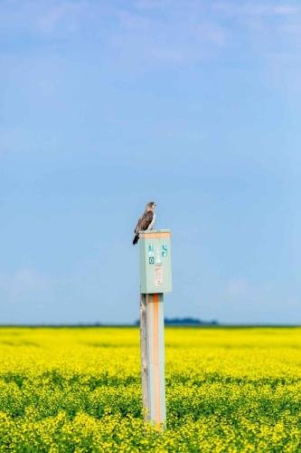 Buffalo Pound Provincial Park Photoshoot 1