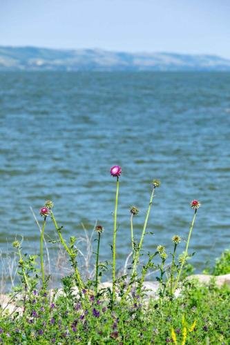 Buffalo Pound Provincial Park Photoshoot 10