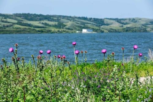 Buffalo Pound Provincial Park Photoshoot 11