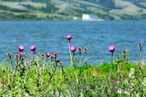 Buffalo Pound Provincial Park Photoshoot 12