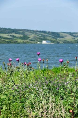 Buffalo Pound Provincial Park Photoshoot 13