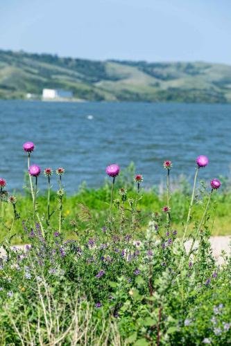 Buffalo Pound Provincial Park Photoshoot 14