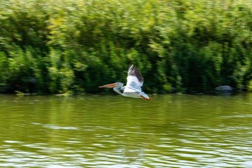 Buffalo Pound Provincial Park Photoshoot 15