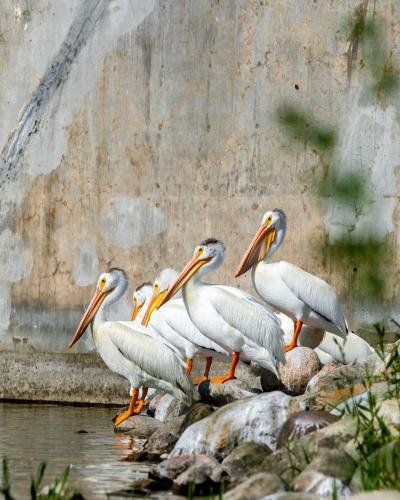 Buffalo Pound Provincial Park Photoshoot 18