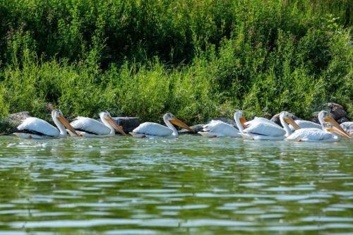 Buffalo Pound Provincial Park Photoshoot 19