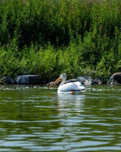 Buffalo Pound Provincial Park Photoshoot 20