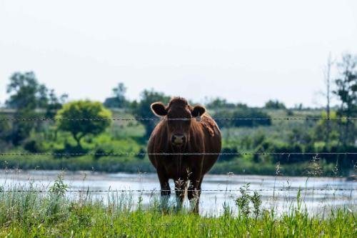 Buffalo Pound Provincial Park Photoshoot 22