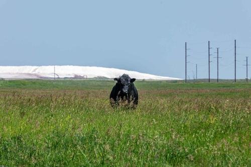 Buffalo Pound Provincial Park Photoshoot 23