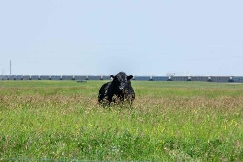 Buffalo Pound Provincial Park Photoshoot 24