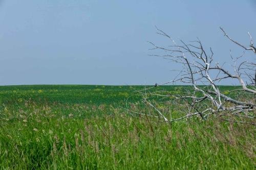 Buffalo Pound Provincial Park Photoshoot 26