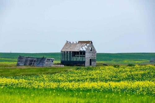 Buffalo Pound Provincial Park Photoshoot 27