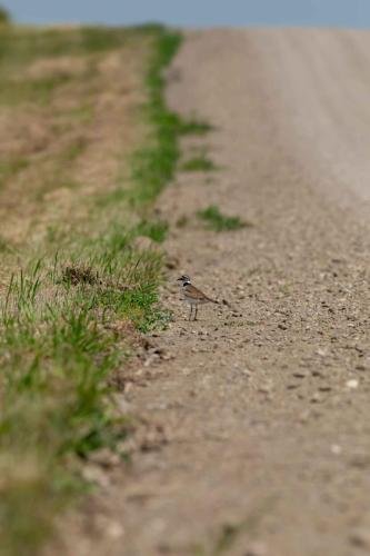 Buffalo Pound Provincial Park Photoshoot 28