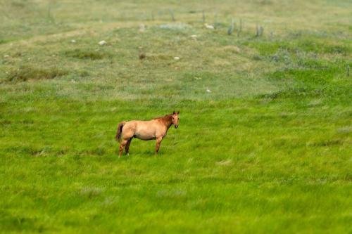 Buffalo Pound Provincial Park Photoshoot 29