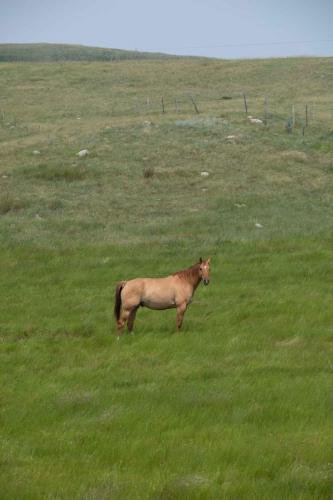 Buffalo Pound Provincial Park Photoshoot 30