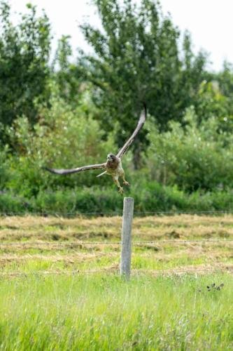 Buffalo Pound Provincial Park Photoshoot 35