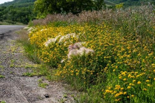 Buffalo Pound Provincial Park Photoshoot 8